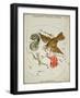 Hall's Astronomical Illustrations XII-Sidney Hall-Framed Art Print