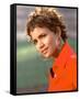 Halle Berry-null-Framed Stretched Canvas