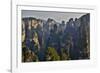 Hallelujah Mountains, Wulingyuan District, Mountain Peaks on Display-Darrell Gulin-Framed Photographic Print