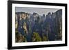 Hallelujah Mountains, Wulingyuan District, Mountain Peaks on Display-Darrell Gulin-Framed Photographic Print