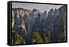 Hallelujah Mountains, Wulingyuan District, Mountain Peaks on Display-Darrell Gulin-Framed Stretched Canvas