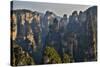 Hallelujah Mountains, Wulingyuan District, Mountain Peaks on Display-Darrell Gulin-Stretched Canvas