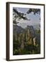 Hallelujah Mountains, Wulingyuan District, Mountain Peaks on Display-Darrell Gulin-Framed Photographic Print