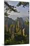 Hallelujah Mountains, Wulingyuan District, Mountain Peaks on Display-Darrell Gulin-Mounted Photographic Print