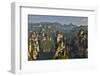 Hallelujah Mountains, Wulingyuan District, Mountain Peaks on Display-Darrell Gulin-Framed Photographic Print