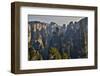 Hallelujah Mountains, Wulingyuan District, Mountain Peaks on Display-Darrell Gulin-Framed Photographic Print