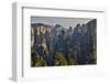 Hallelujah Mountains, Wulingyuan District, Mountain Peaks on Display-Darrell Gulin-Framed Photographic Print