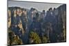 Hallelujah Mountains, Wulingyuan District, Mountain Peaks on Display-Darrell Gulin-Mounted Photographic Print