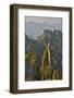 Hallelujah Mountains, Wulingyuan District, Mountain Peaks on Display-Darrell Gulin-Framed Photographic Print