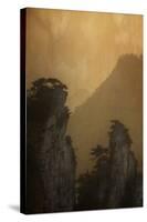 Hallelujah Mts, Wulingyuan District, Mountain Landscape-Darrell Gulin-Stretched Canvas