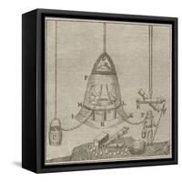 Halley's Bell-null-Framed Stretched Canvas