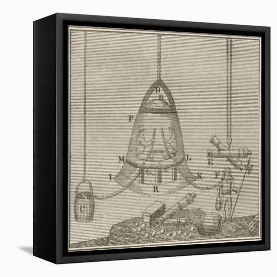 Halley's Bell-null-Framed Stretched Canvas