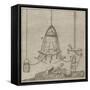 Halley's Bell-null-Framed Stretched Canvas