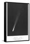 Halley's Comet Photograph-null-Framed Stretched Canvas