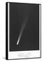 Halley's Comet Photograph-null-Framed Stretched Canvas