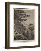 Halley's Mount and Hutt's Gate, from Woody Ridge, St Helena-null-Framed Giclee Print