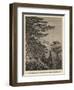 Halley's Mount and Hutt's Gate, from Woody Ridge, St Helena-null-Framed Giclee Print