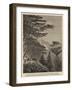 Halley's Mount and Hutt's Gate, from Woody Ridge, St Helena-null-Framed Giclee Print