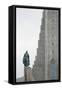 Hallgrimskirkja Lutheran Parish Church, Reykjavik, Iceland, Polar Regions-Michael Snell-Framed Stretched Canvas