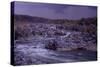 Hallowed Ground; Virginia; Great Falls; Potomac River; Fairfax County; Virginia; Pato…, 2004 (Photo-Kenneth Garrett-Stretched Canvas