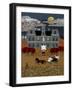 Halloween 1-Anthony Kleem-Framed Giclee Print