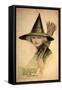 Halloween Beautiful Green Witch-Vintage Apple Collection-Framed Stretched Canvas