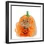 Halloween Cat Dressed Up Like a Pumpkin-Willee Cole-Framed Photographic Print
