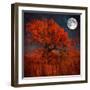 Halloween Color-Philippe Sainte-Laudy-Framed Premium Photographic Print