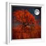 Halloween Color-Philippe Sainte-Laudy-Framed Premium Photographic Print