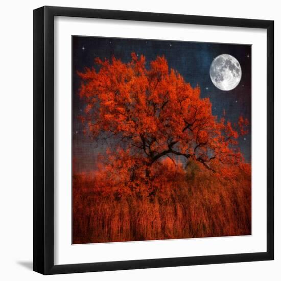 Halloween Color-Philippe Sainte-Laudy-Framed Photographic Print