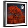 Halloween Color-Philippe Sainte-Laudy-Framed Photographic Print