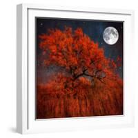 Halloween Color-Philippe Sainte-Laudy-Framed Photographic Print