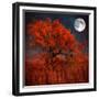 Halloween Color-Philippe Sainte-Laudy-Framed Photographic Print