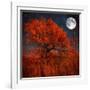 Halloween Color-Philippe Sainte-Laudy-Framed Photographic Print