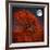 Halloween Color-Philippe Sainte-Laudy-Framed Photographic Print