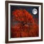 Halloween Color-Philippe Sainte-Laudy-Framed Photographic Print