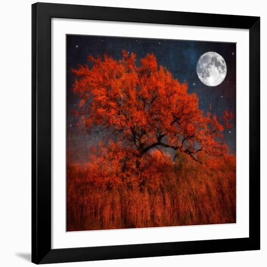 Halloween Color-Philippe Sainte-Laudy-Framed Photographic Print