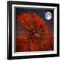 Halloween Color-Philippe Sainte-Laudy-Framed Photographic Print