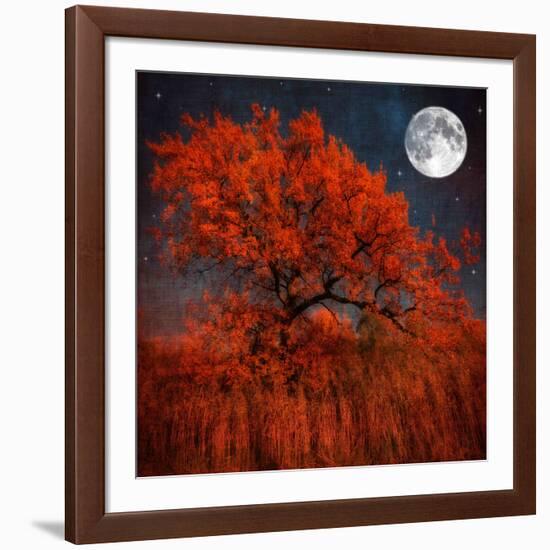 Halloween Color-Philippe Sainte-Laudy-Framed Photographic Print