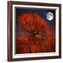 Halloween Color-Philippe Sainte-Laudy-Framed Photographic Print