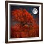 Halloween Color-Philippe Sainte-Laudy-Framed Photographic Print