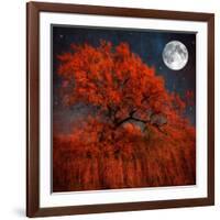 Halloween Color-Philippe Sainte-Laudy-Framed Photographic Print