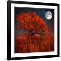 Halloween Color-Philippe Sainte-Laudy-Framed Photographic Print