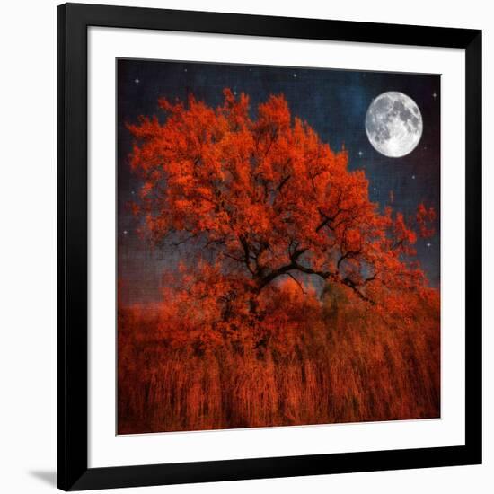 Halloween Color-Philippe Sainte-Laudy-Framed Photographic Print