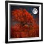 Halloween Color-Philippe Sainte-Laudy-Framed Photographic Print