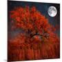 Halloween Color-Philippe Sainte-Laudy-Mounted Photographic Print