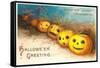 Halloween, Curiouser and Curiouser, Jack O'Lanterns-null-Framed Stretched Canvas