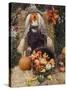 Halloween Decoration, Hill Country, Texas, USA-Rolf Nussbaumer-Stretched Canvas