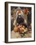 Halloween Decoration, Hill Country, Texas, USA-Rolf Nussbaumer-Framed Photographic Print