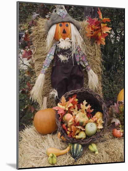 Halloween Decoration, Hill Country, Texas, USA-Rolf Nussbaumer-Mounted Photographic Print